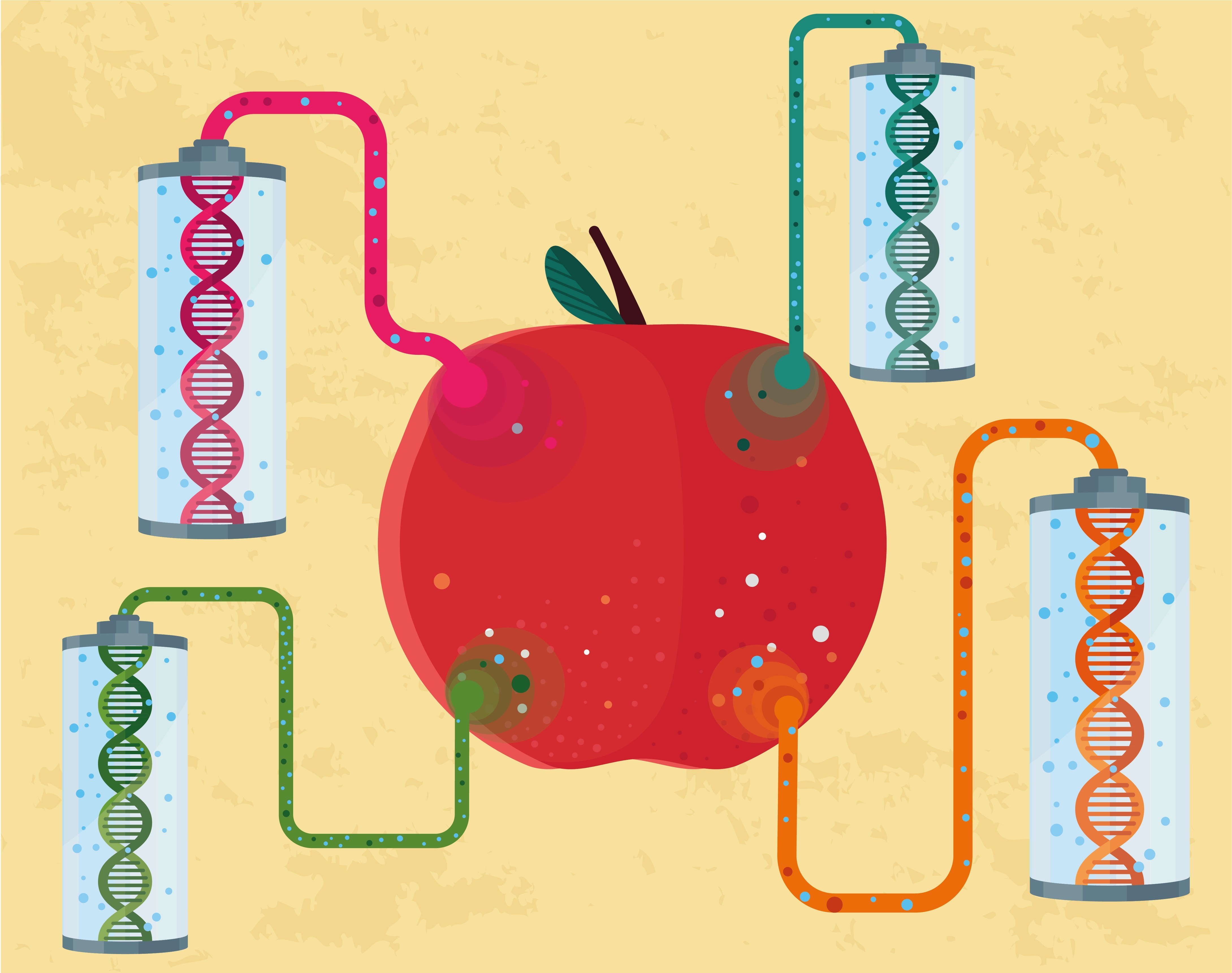 Опасны ли продукты с ГМО?