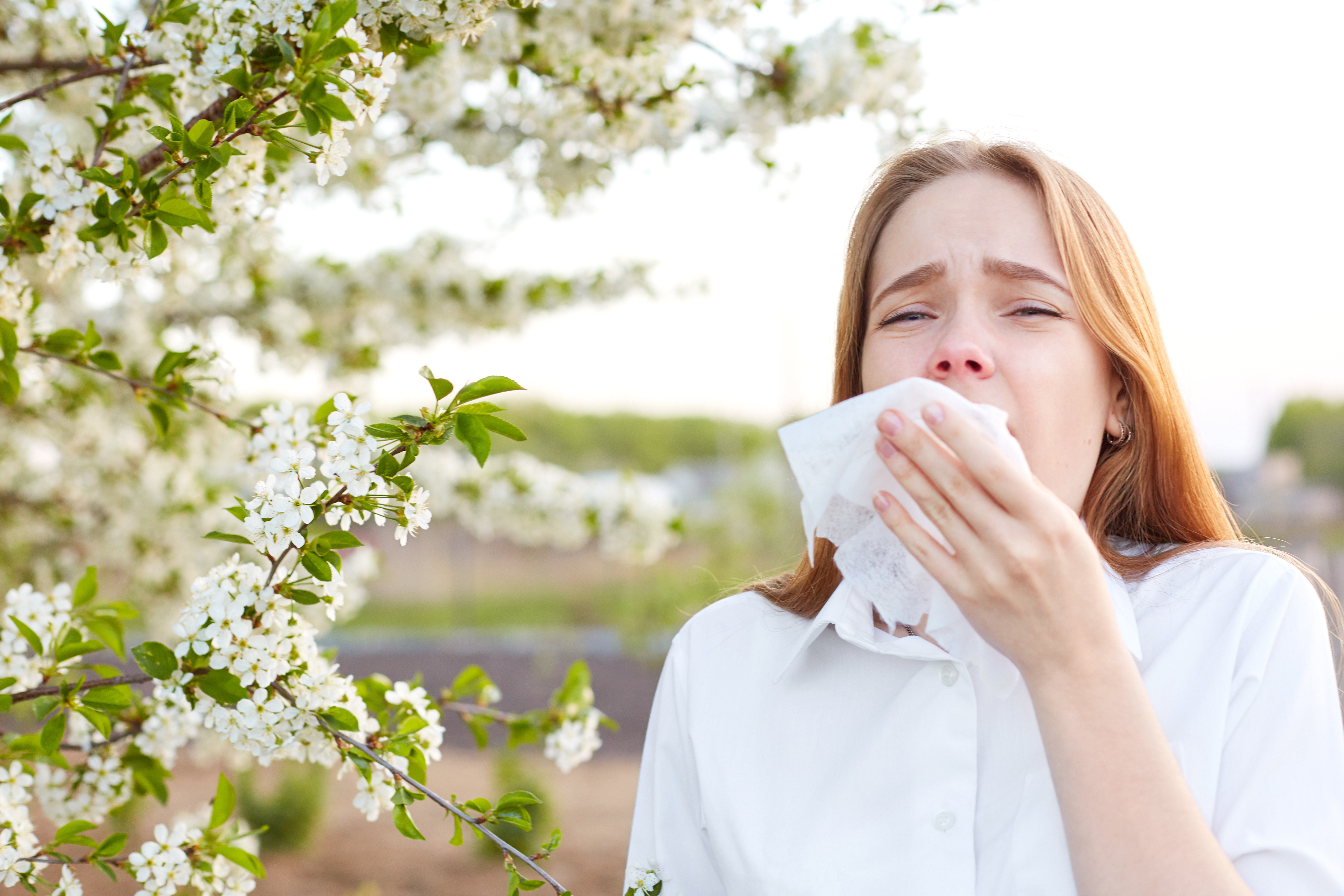 Симптомы аллергии на цветение. Сезонная аллергия. Аллергики весной. Аллергия поллиноз.