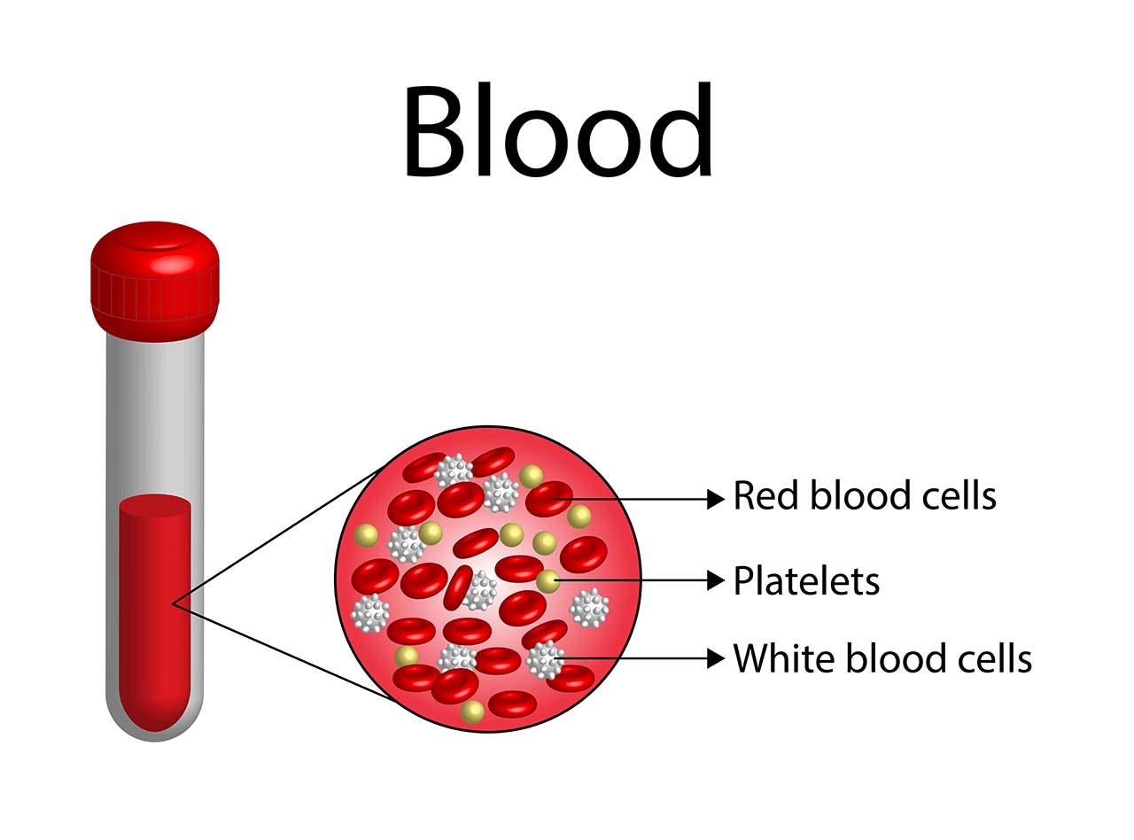 Причины повышения уровня лейкоцитов в крови