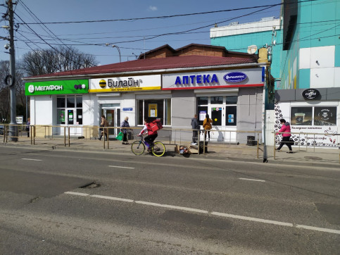 Торжественное открытие аптеки "Фармаимпекс" в Краснодаре