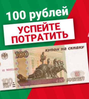 Скидка 100 рублей!